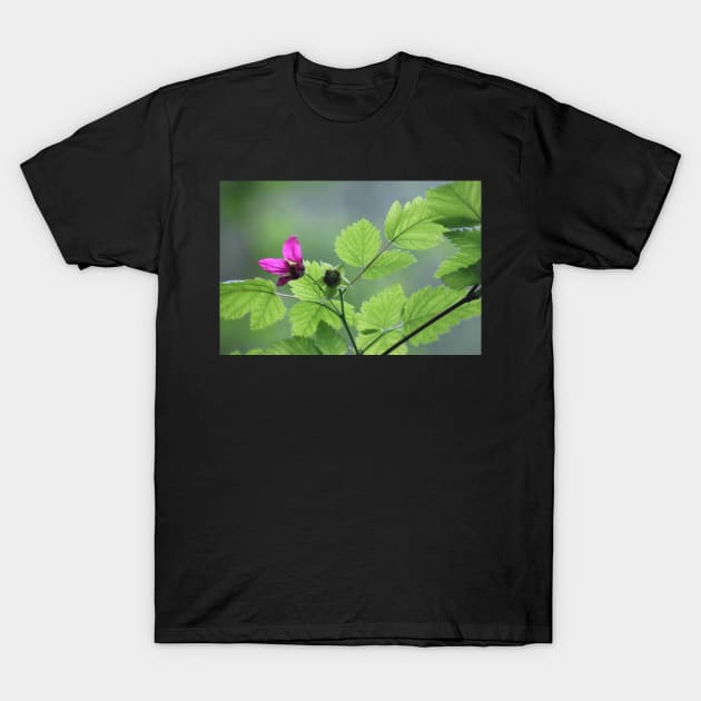 Salmon berry flowers T-Shirt by DlmtleArt